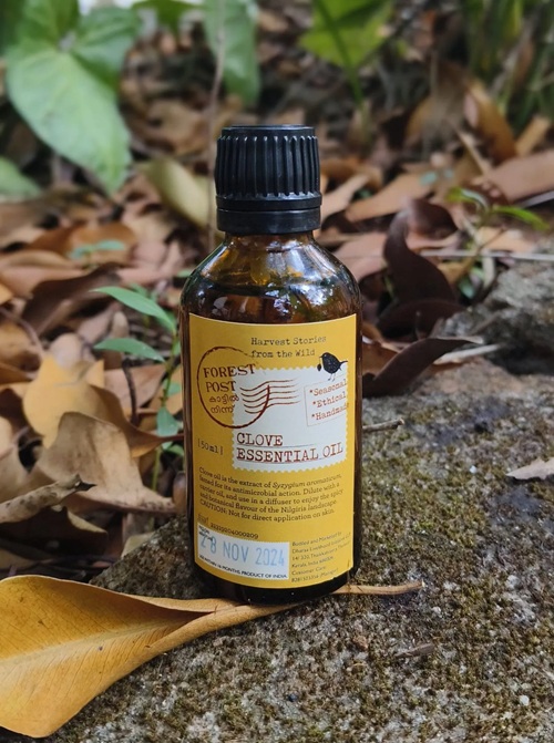 Clove Oil As Collagen Booster