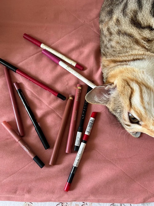 Lip Liner